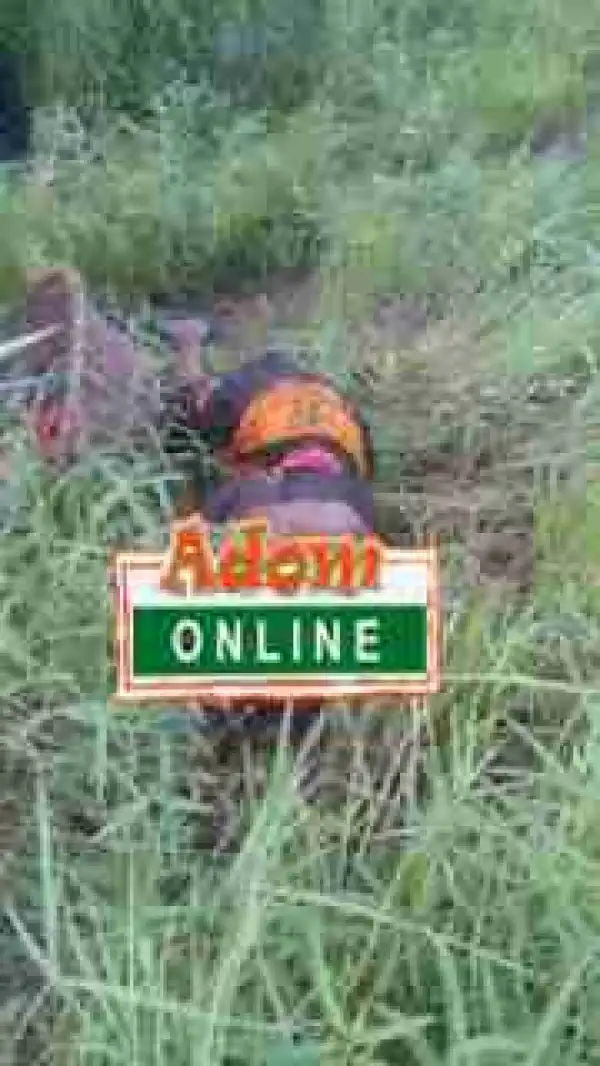 50-year old Woman Brutally Murdered And Beheaded In A Farm (Graphic Photos)